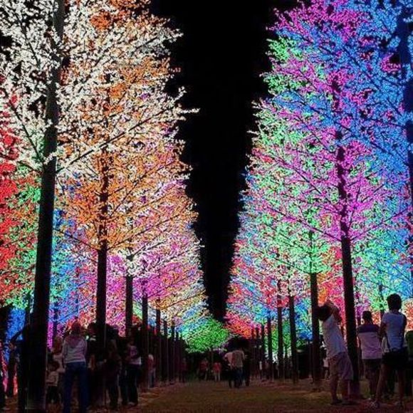 Meet your Posher, Martha - Picture 1 of 1